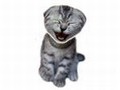 Laughing Cat għall-logħob online