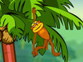 Spider Monkey għall-logħob online