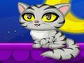 Purrfect Kitten għall-logħob online