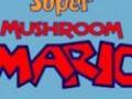 Faqqiegħ Mario Super għall-logħob online