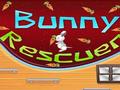 Bunny salvataġġ għall-logħob online