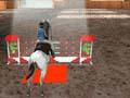 3D Equestrian għall-logħob online