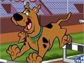 Scooby doo - Steeplechase għall-logħob online